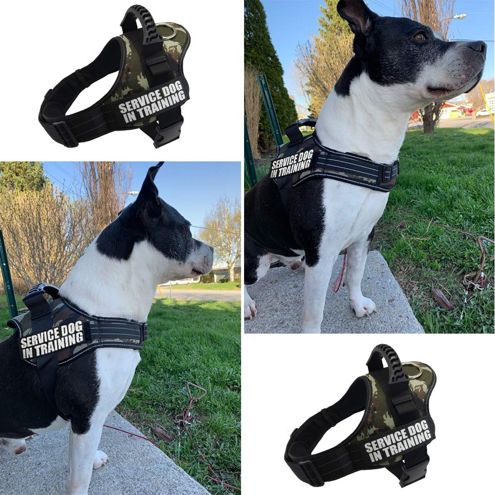 Kleine Hunde Chihuahua Hund Husky Leder Hund Katze Leine Hundezubehör Link 's Hundegeschirr Nylon Reflektierende Weste Geschirr XS-XXL
