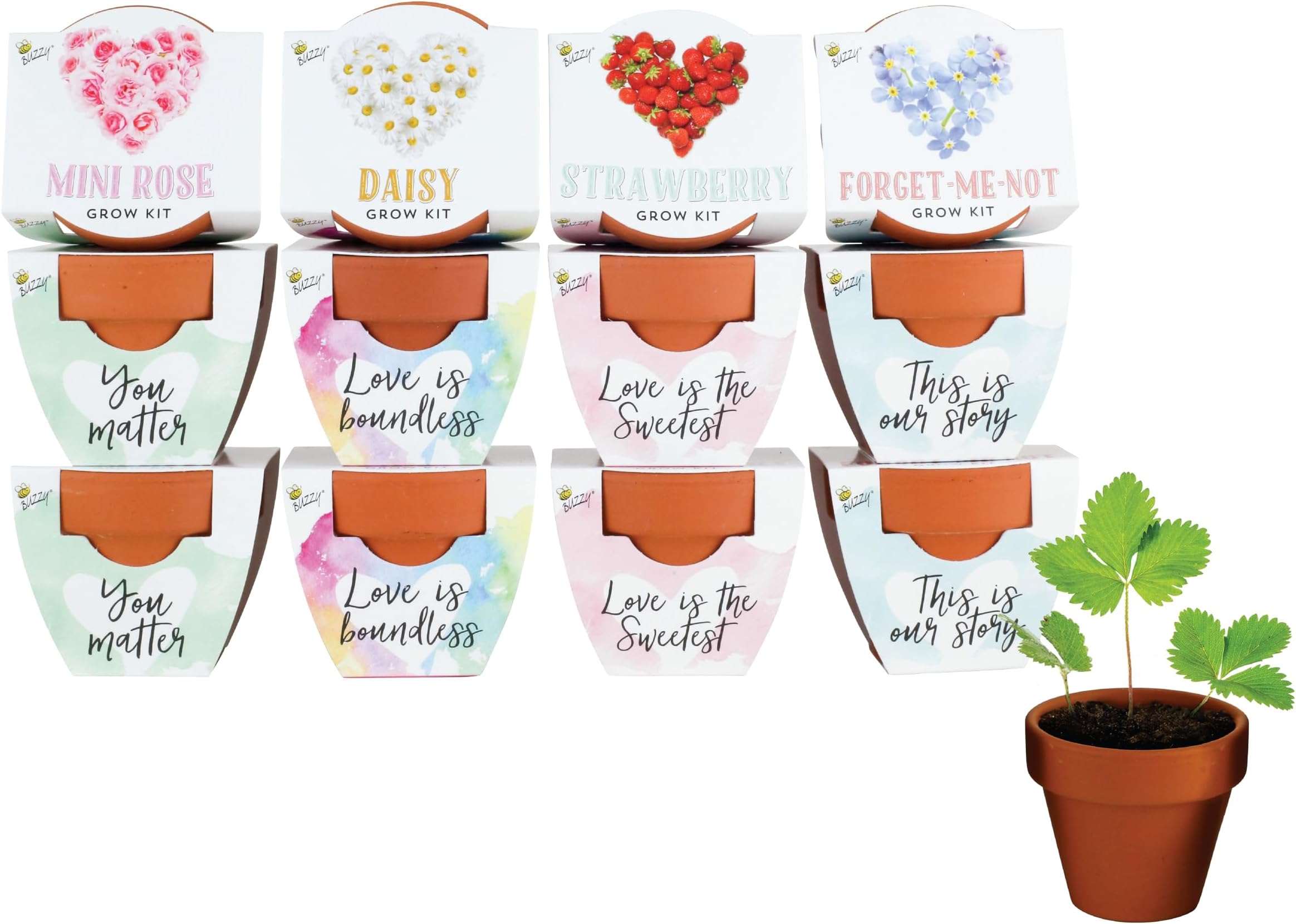 BUZZY Seeds Terracotta Mini Grow Pots Herb, Plant
