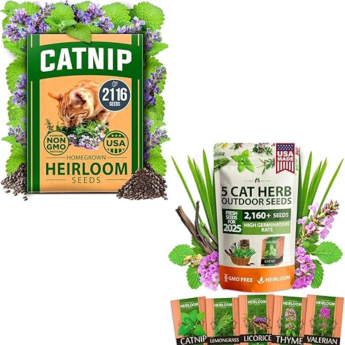 HOME GROWN Catnip & Cat Plant Mix Seeds – 4,276+