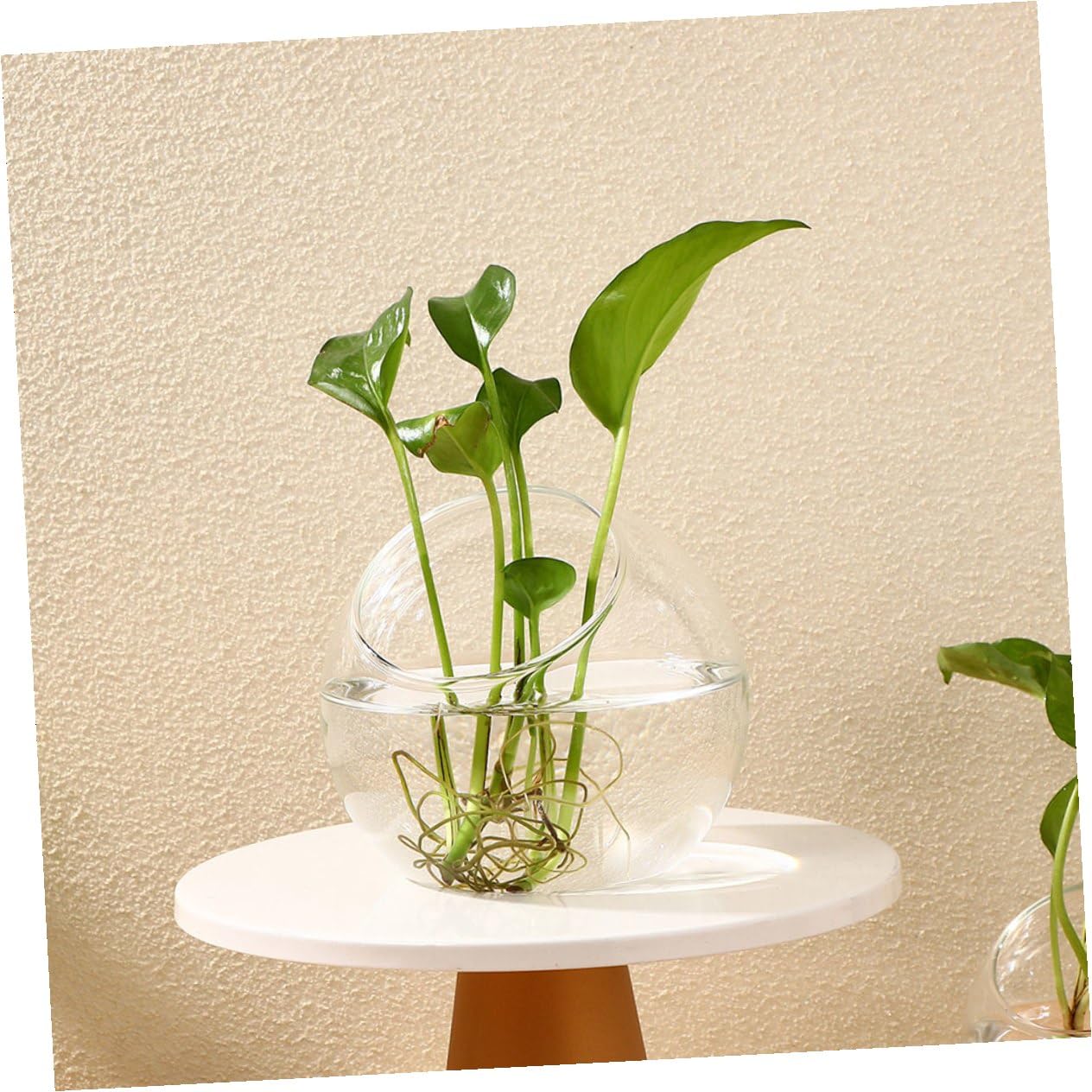 VANZACK Set da 3 Contenitori in Vetro per Terrario Micro Paesaggistico, Bottiglie per Piante Grasse da Tavolo, Barattoli Ecologici per Decorazione Interni e Kit Fai da Te