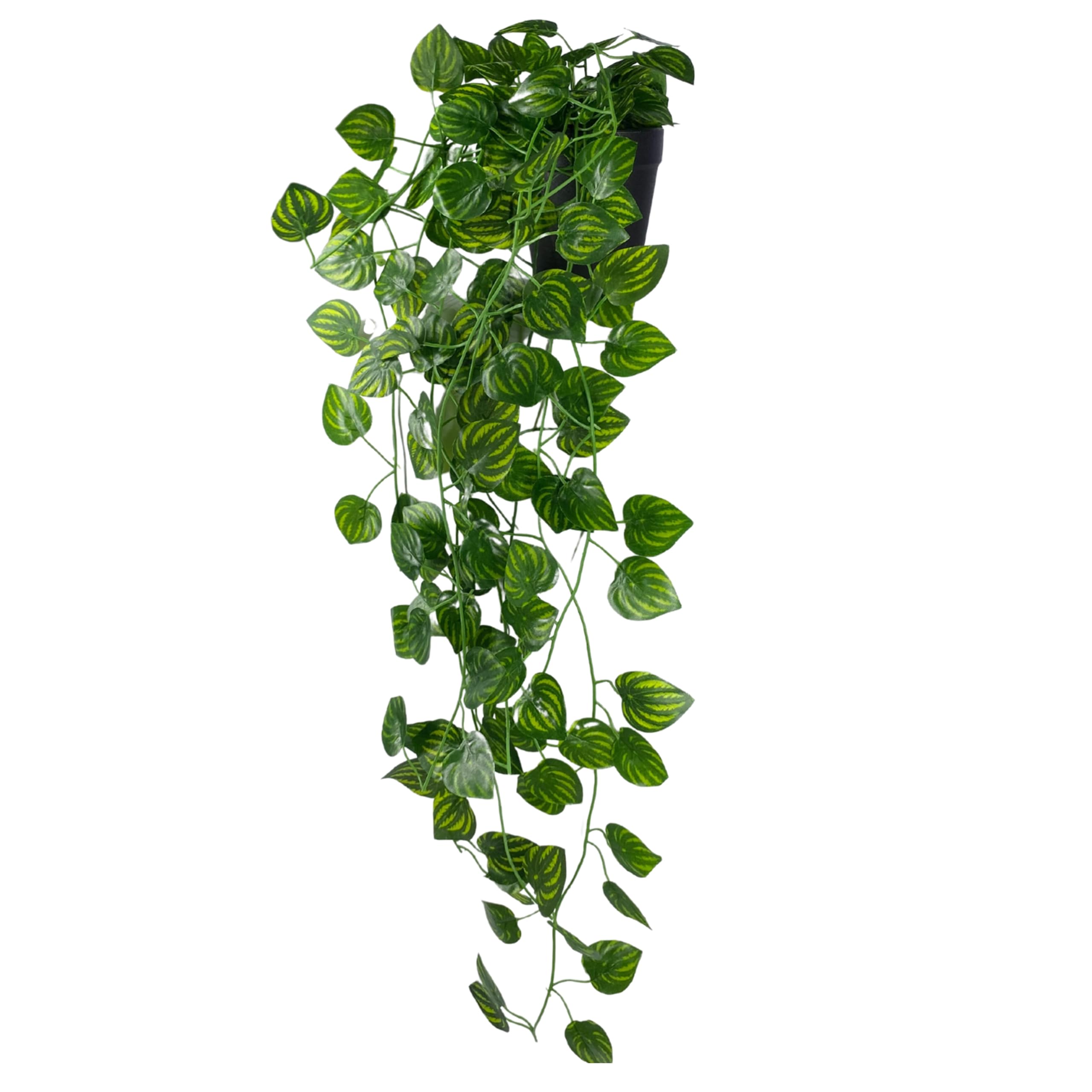 Tdas Plastic Artificial Plants with Pot Leaves Hanging Ivy Garlands Plant Greenery Vine Creeper Home Decor Door Wall Balcony Decoration Party Festival Craft (2 Pcs Brazil Pothos Plants) (B0CGM34WDV) Amazon Price History, Amazon Price Tracker