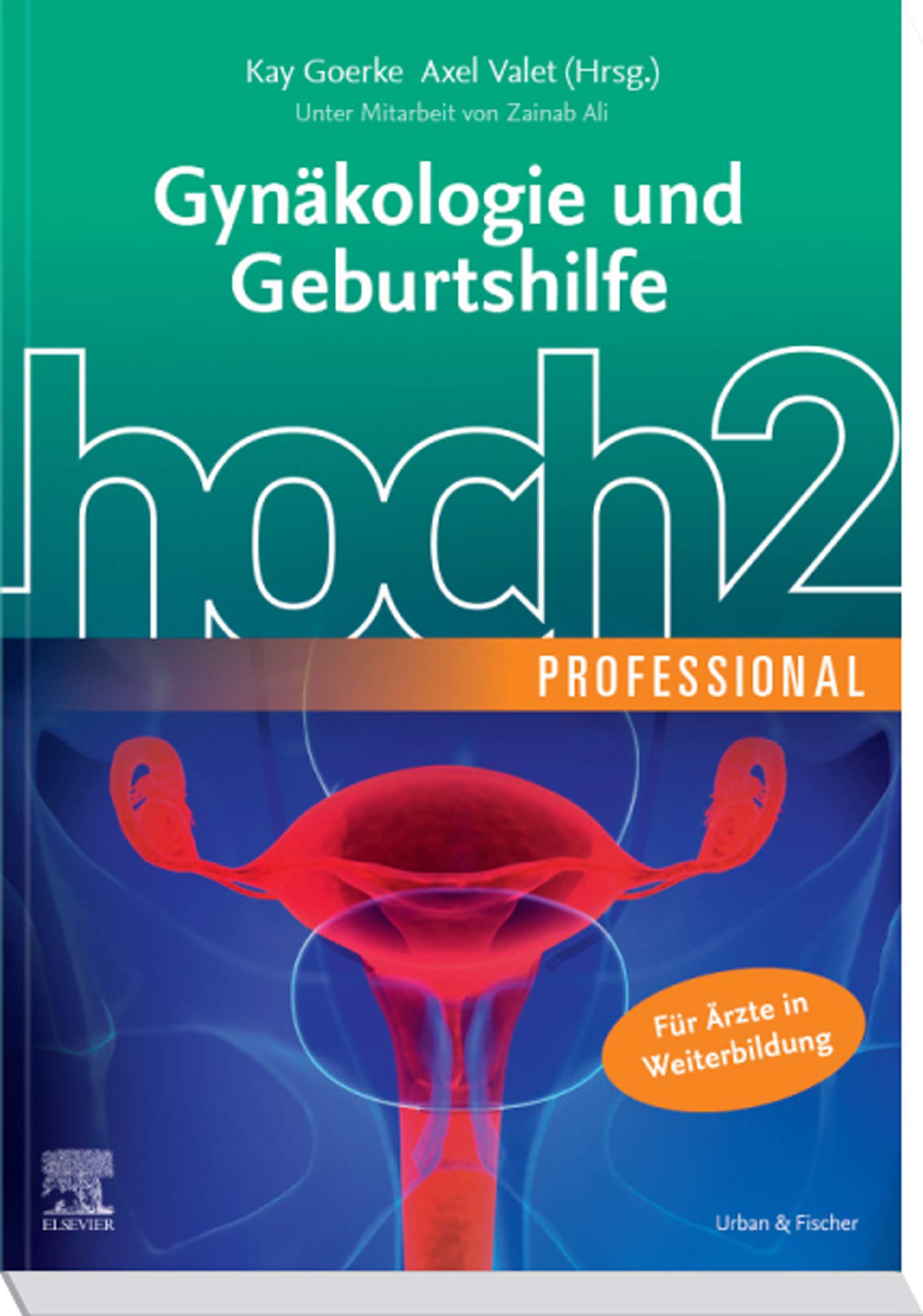 Gynäkologie und Geburtshilfe hoch2 professional (MONOGRAPHIE - Fachbuch - Urban & Fischer-Verlag)