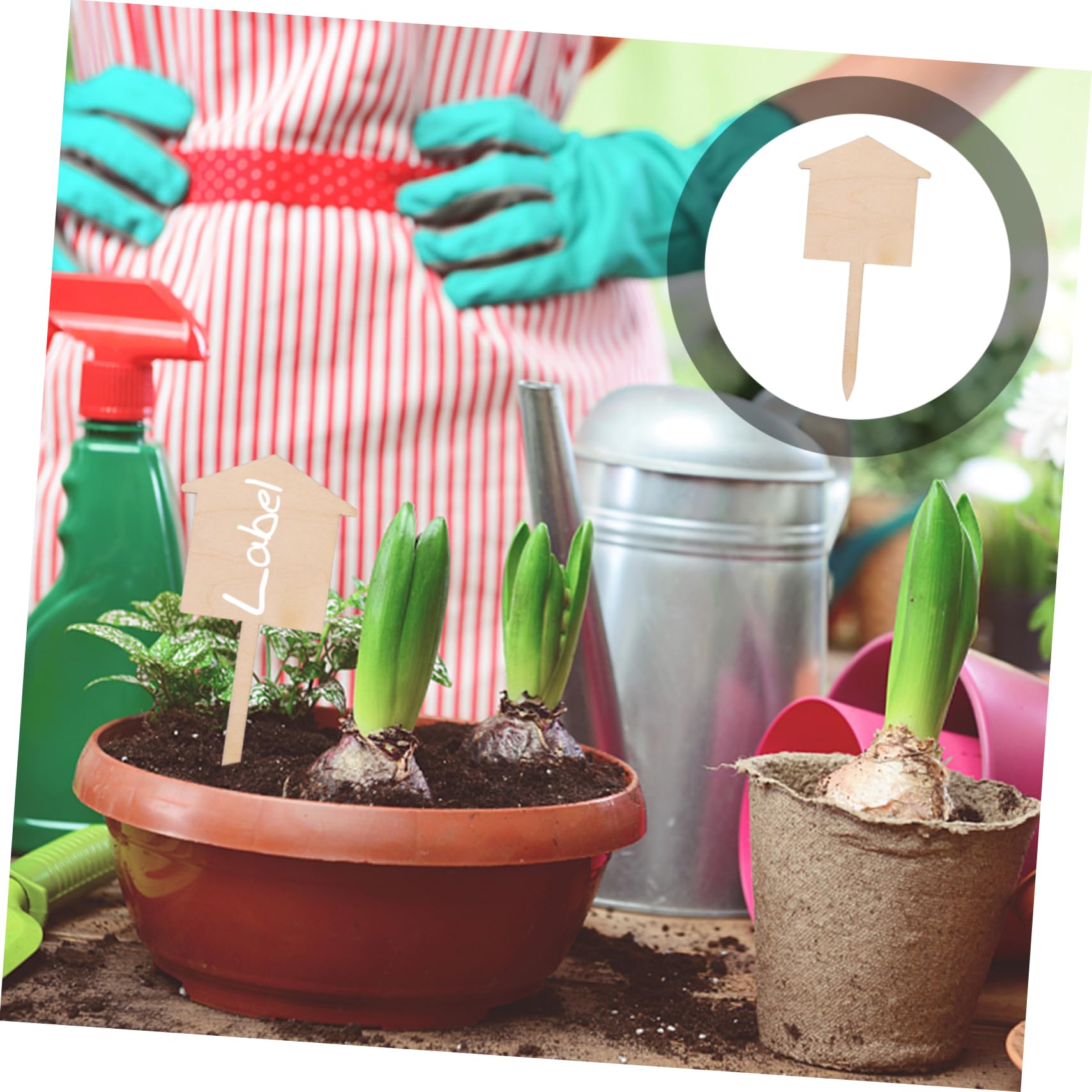 BESPORTBLE 3 Ensembles Étiquettes Pour Plantes Étiquettes Pour Plantes De Jardin Marqueurs Pour Pots De es D'Intérieur Étiquettes Pour es Ornements Pour Piquets 50 pièces * 3