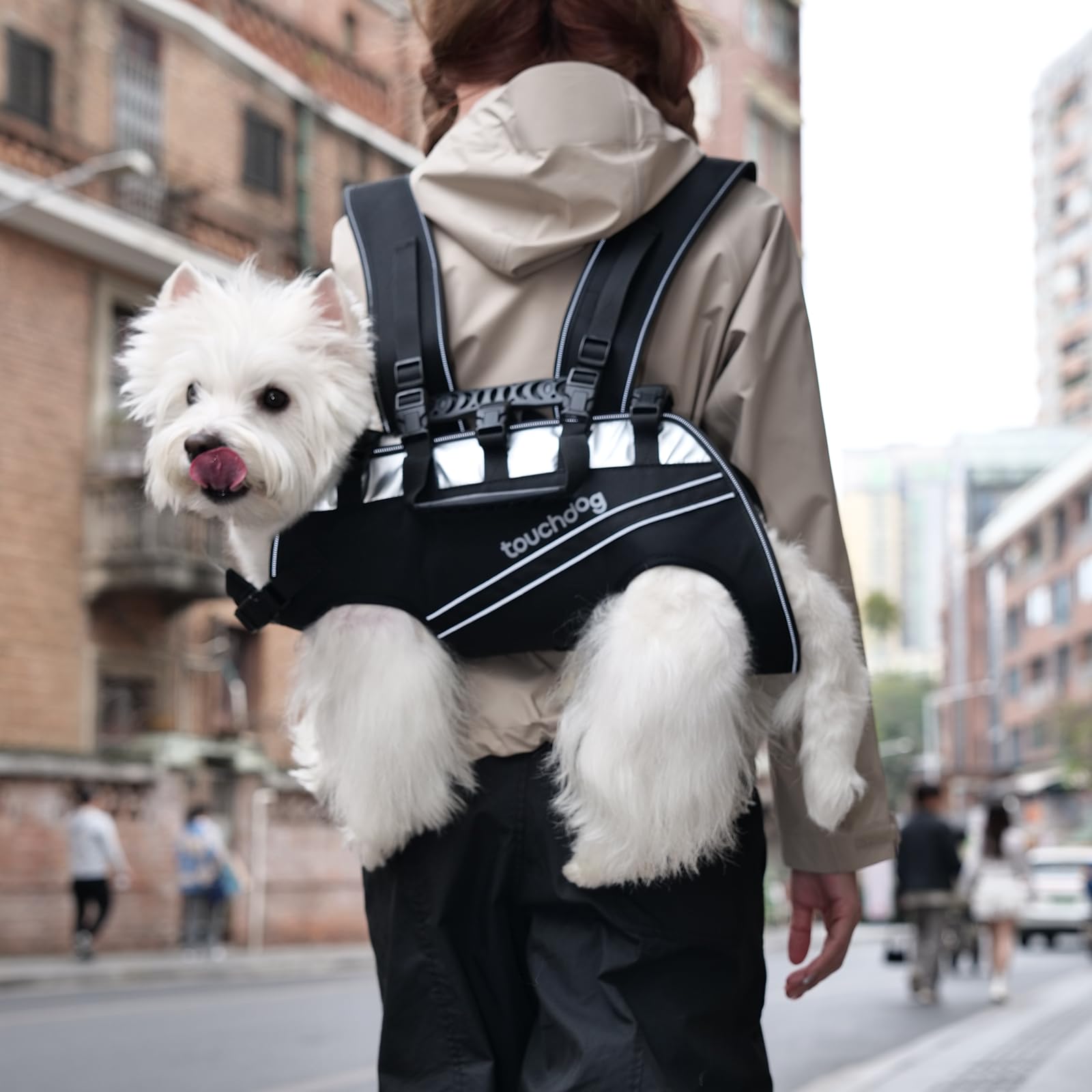 Dog Backpack Carrier for Large Dogs - Hands-Free Pet Travel Pack with 6-Point Safety System, Waterproof & Reflective Design for Motorcycle, Hiking, Surfing (Khaki, L)