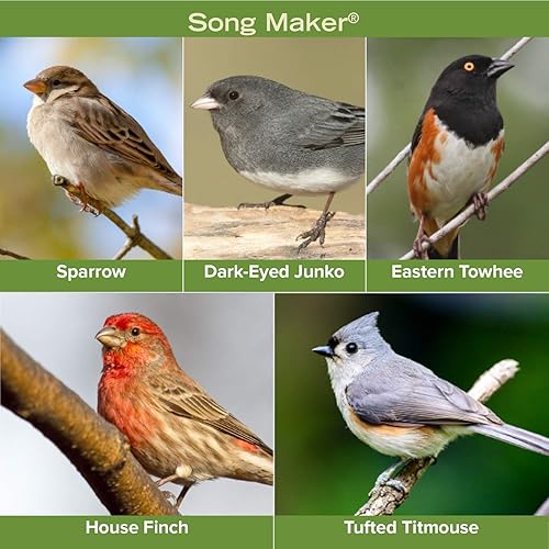 Miniatura 4 de Blue Seal Song Maker - Semillas de aves silvestres  Mezcla nutritiva, sin rellenos, atrae una variedad de aves  Bolsa de 20 libras