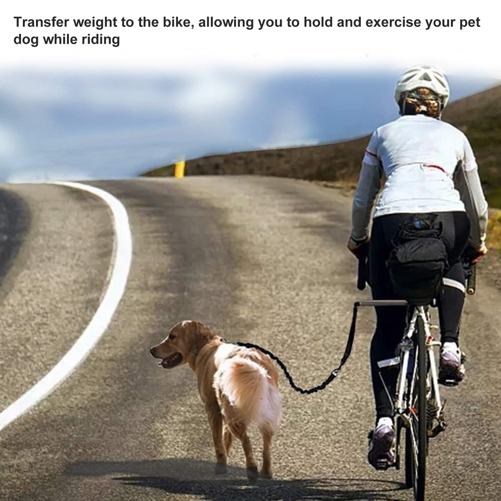 Laisse rétractable pour chien en acier inoxydable haute résistance, idéal pour l'entraînement, le jogging et le cyclisme