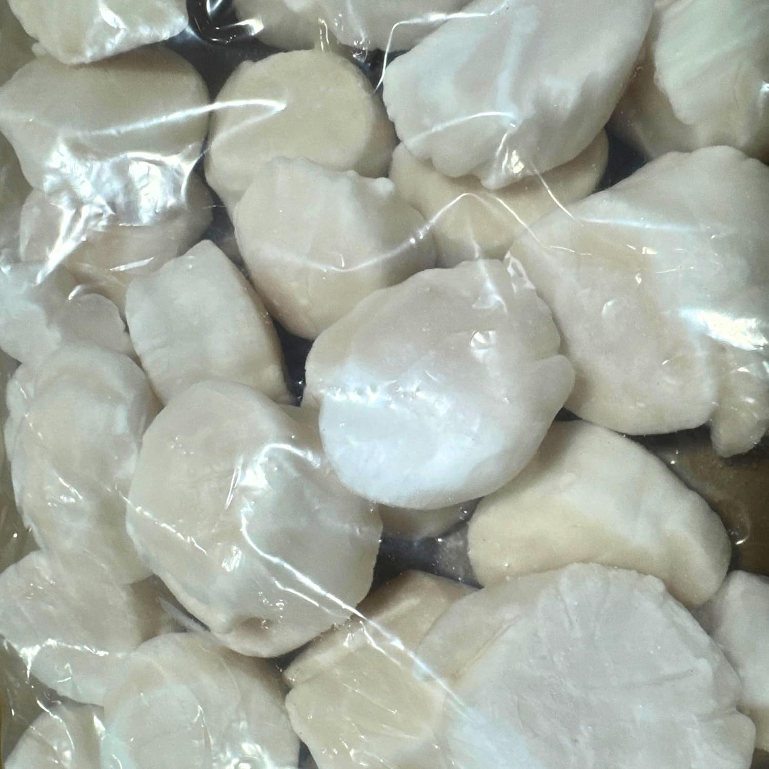 Today Gourmet Foods of NC - Scallops - U10 Dry (5lb Pkg)