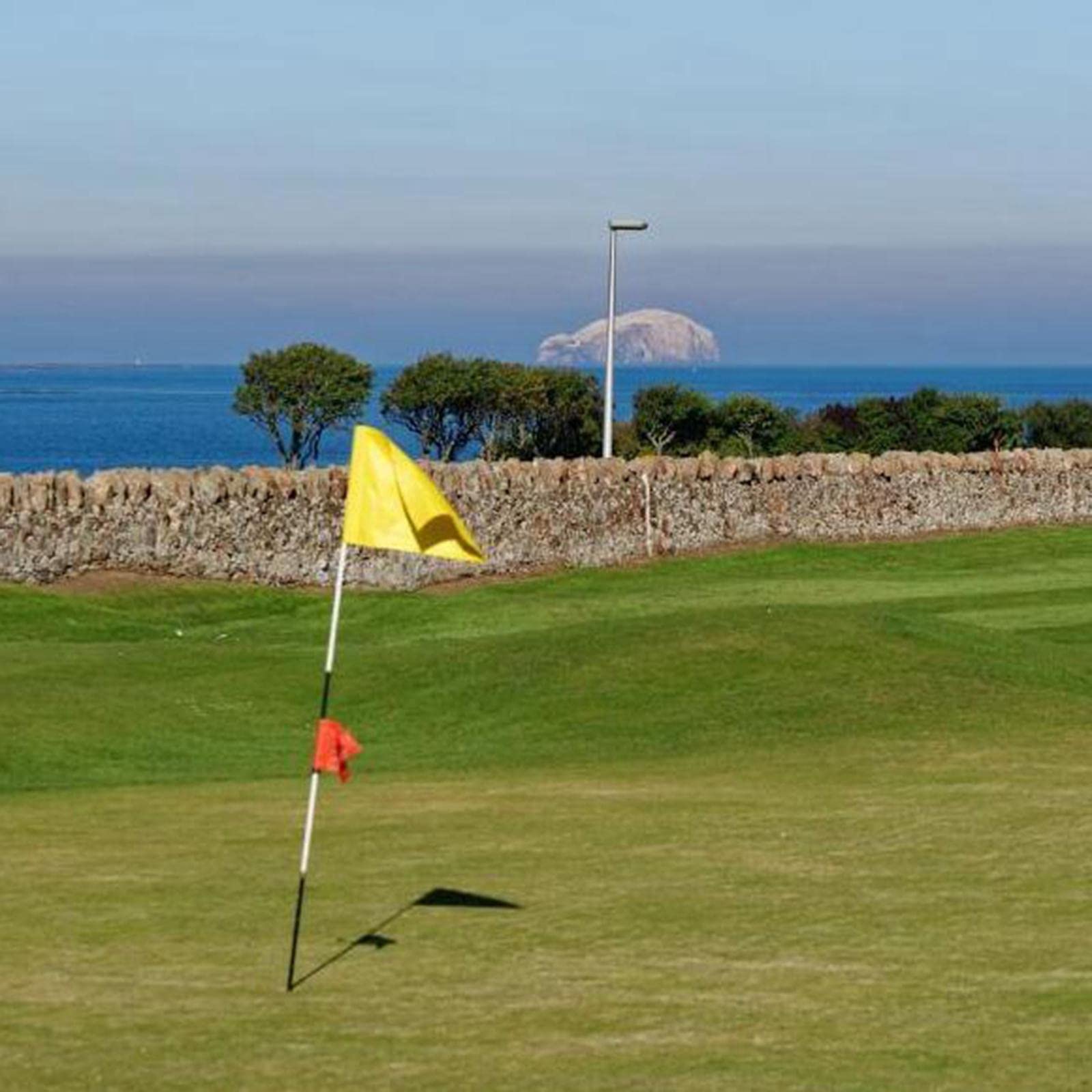 Drapeau de golf couleur unie 24,5 cm x 15 cm pour cour blanche