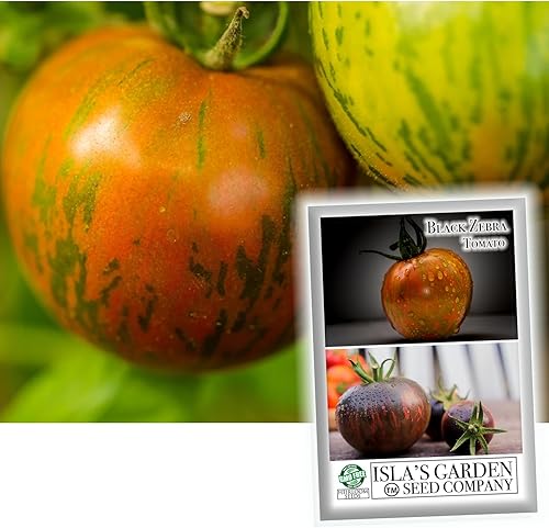 Black Zebra Tomate Seeds, 25 semillas tradicionales por paquete, semillas no transgénicas, nombre botánico Solanum lycopersicum, Isla's Garden Seeds
