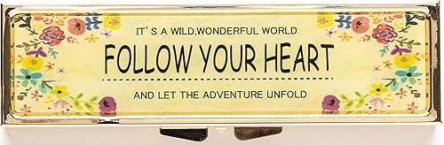 AmyZone - Pastillero de metal para viajes, portátil, compacto, bonito pastillero para guardar vitaminas, tilenol, aceite de pescado, suplementos,