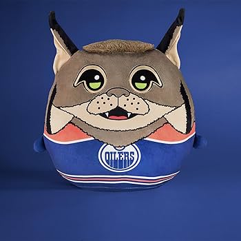 Amazon.com: Sleep Squad Edmonton Oilers Hunter 12