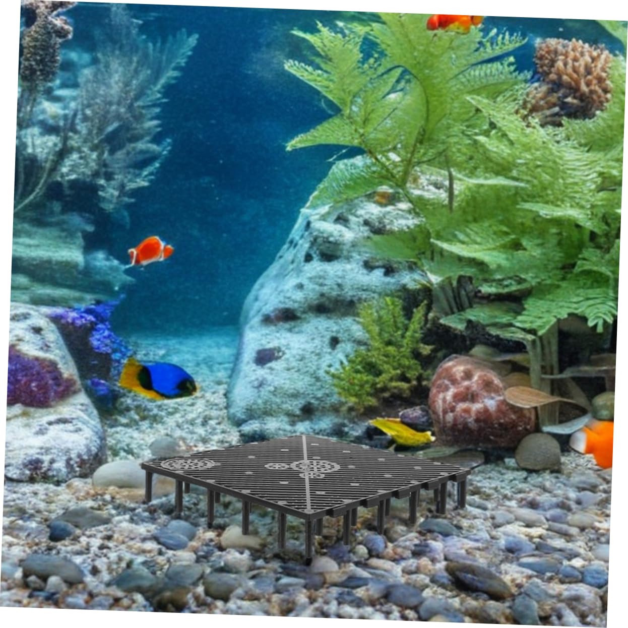 COLLBATH Aquarium Bodenfilter Platte in Schwarz 10 Stück aus Kunststoff und Einfacher mit Hoher Filtrationseffizienz für Süßwasser und Salzwasseraquarien