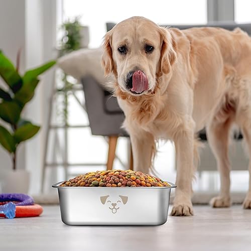 Miniatura 6 de 4 cuencos de agua grandes para perros, cuencos grandes de acero inoxidable extra grandes para perros, cuencos metálicos para mascotas resistentes a