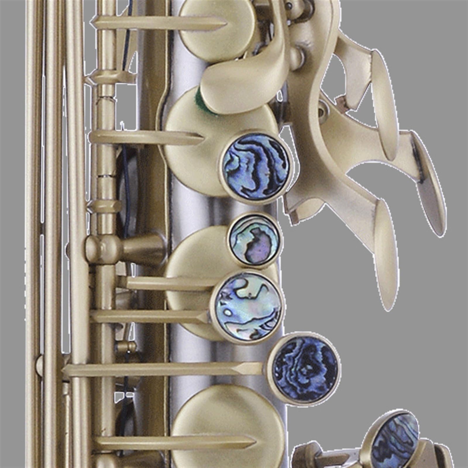 Saxofón Alto En Mi Bemol Para Principiantes En Instrumentos De Viento. Examen De Interpretación Y Calificación Profesional