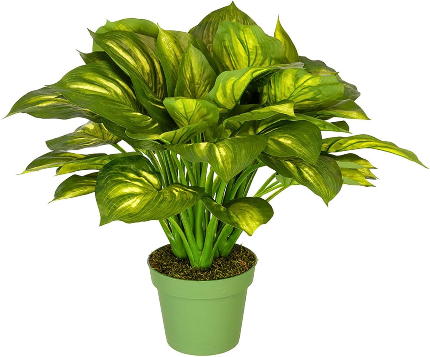 House of Silk Flowers - Faux Large Hosta Arrangement