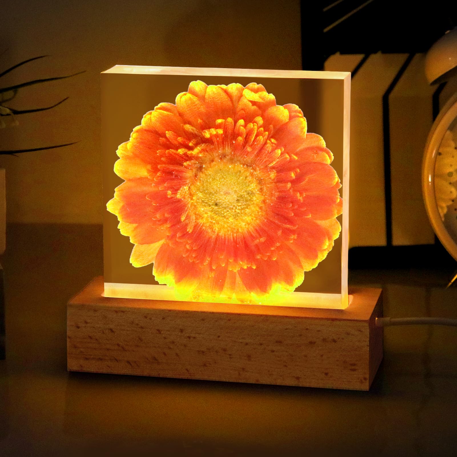 Real Gerbera Daisy Night Light, Dimmable Handmade Natural Dried