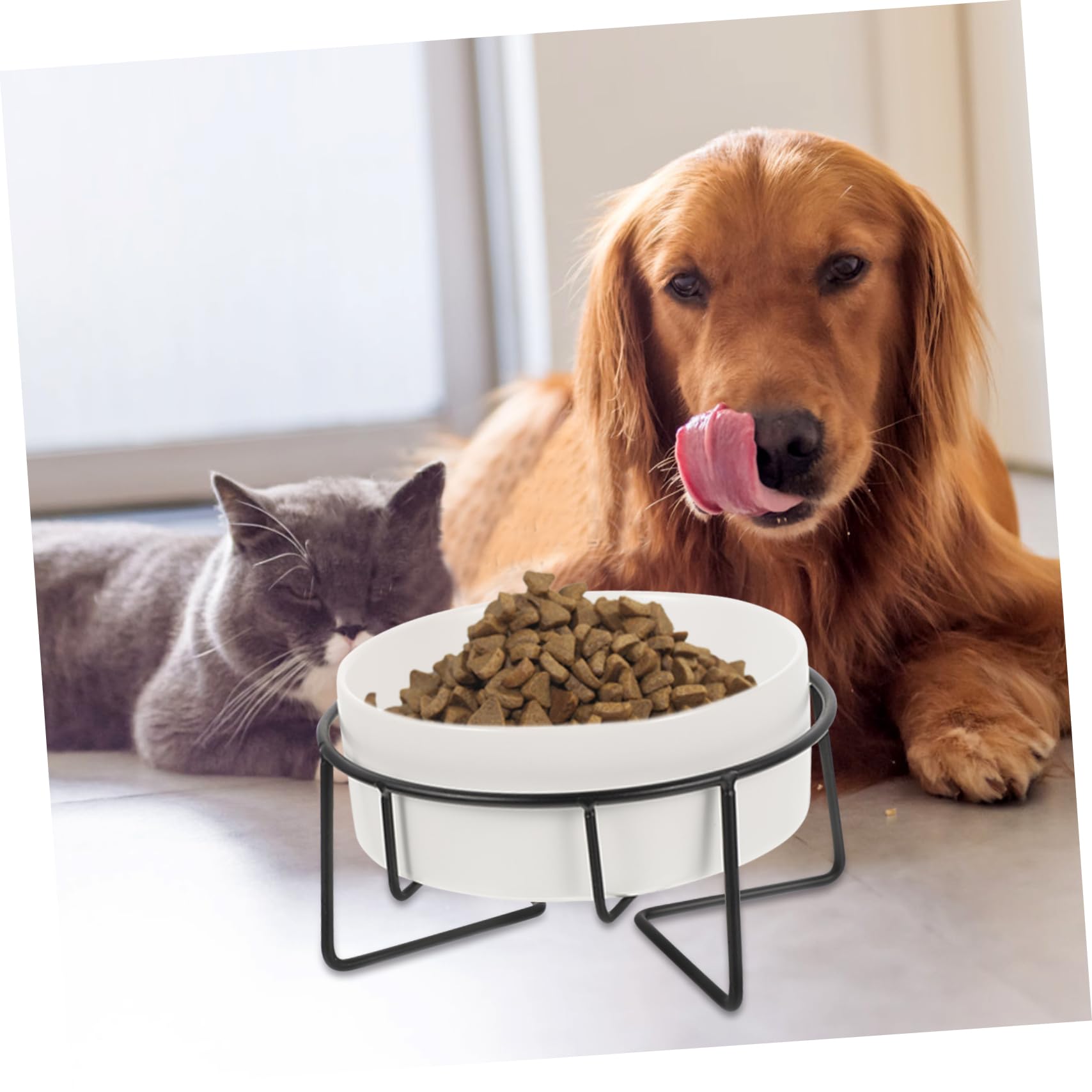 Toyvian Ciotola Rialzata in Ceramica Protezione del Collo, Facile da Pulire 400ml per Gatti e Cuccioli per Cibo e Acqua