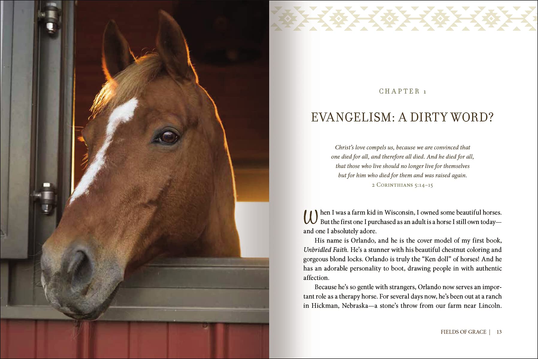 Fields of Grace: Sharing Faith from the Horse Farm - Image 2