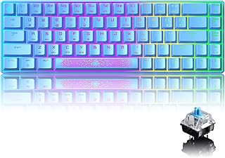 60% Mechanical Gaming Keyboard Type C Wired 68-Key LED Backlit USB Waterproof Keyboard 18 Chroma RGB Backlight Anti-ghosting Keys+Personalized Extra Keycaps for Gamers and Typists (Blue/Blue Switch)