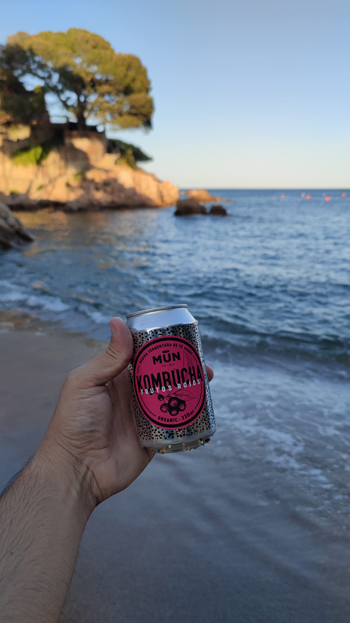 Mūn Ferments Té Kombucha Pack 12x330ml - Bebida Ecológica Con Probióticos - Té Kombucha Jengibre Y Limón-Sin Azúcar Y Baja En Calorías-Latas Libres De BPA-Infusión Fermentada Artesanal-Libre De Gluten