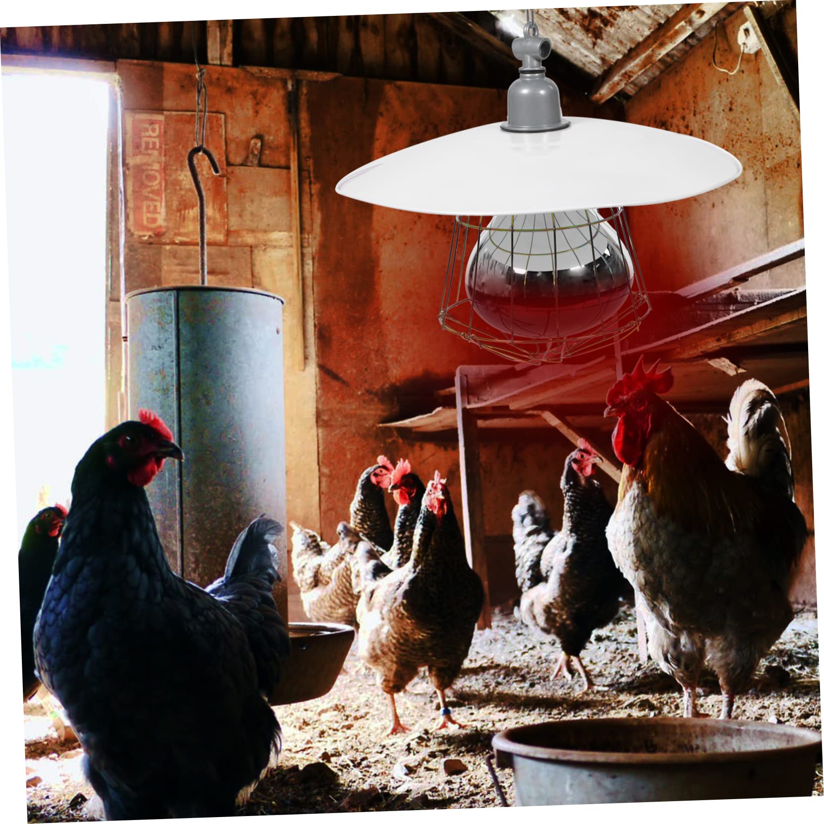 Gatuida Lampada Riscaldante Per Gabbie Per Bestiame e Rettili 250w in Metallo Copertura in Rete, Luce Calda Efficiente Per Animali Domestici e Allevamenti, Facile Installazione e Durata Elevata