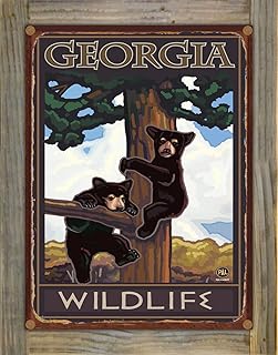 Georgia Two Bears in Tree Rustic Metal Print on Reclaimed Barn Wood from Travel Artwork by Artist Paul A. Lanquist 8.5" x 11.5"