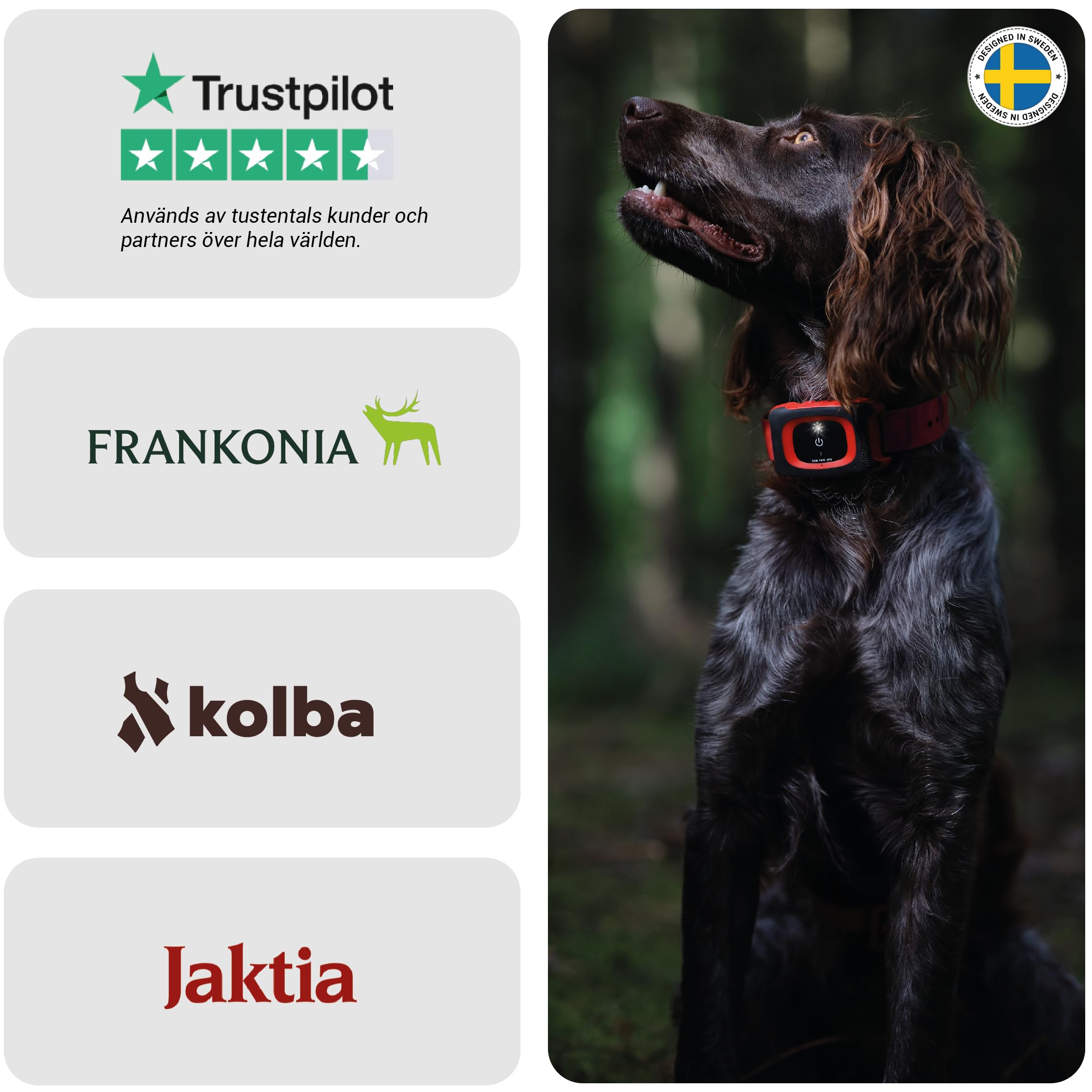 MiniFinder Rex Tracker GPS per cani da caccia - Tracker in tempo reale tramite app, inseguitore per cani impermeabile e robusto a lungo raggio per la caccia di cinghiali e cervi