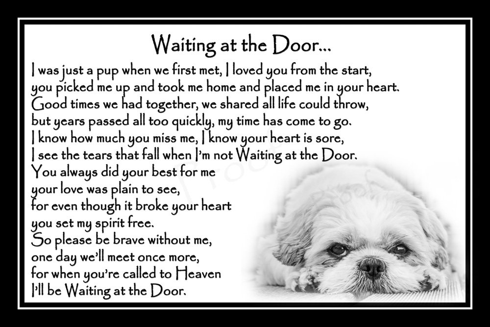 Shih Tzu Pet Dog Bereavement Sympathy Memorial Print (unframed) - Waiting at The Door