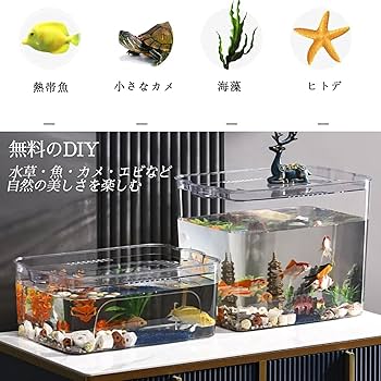金魚鉢から飛び出して