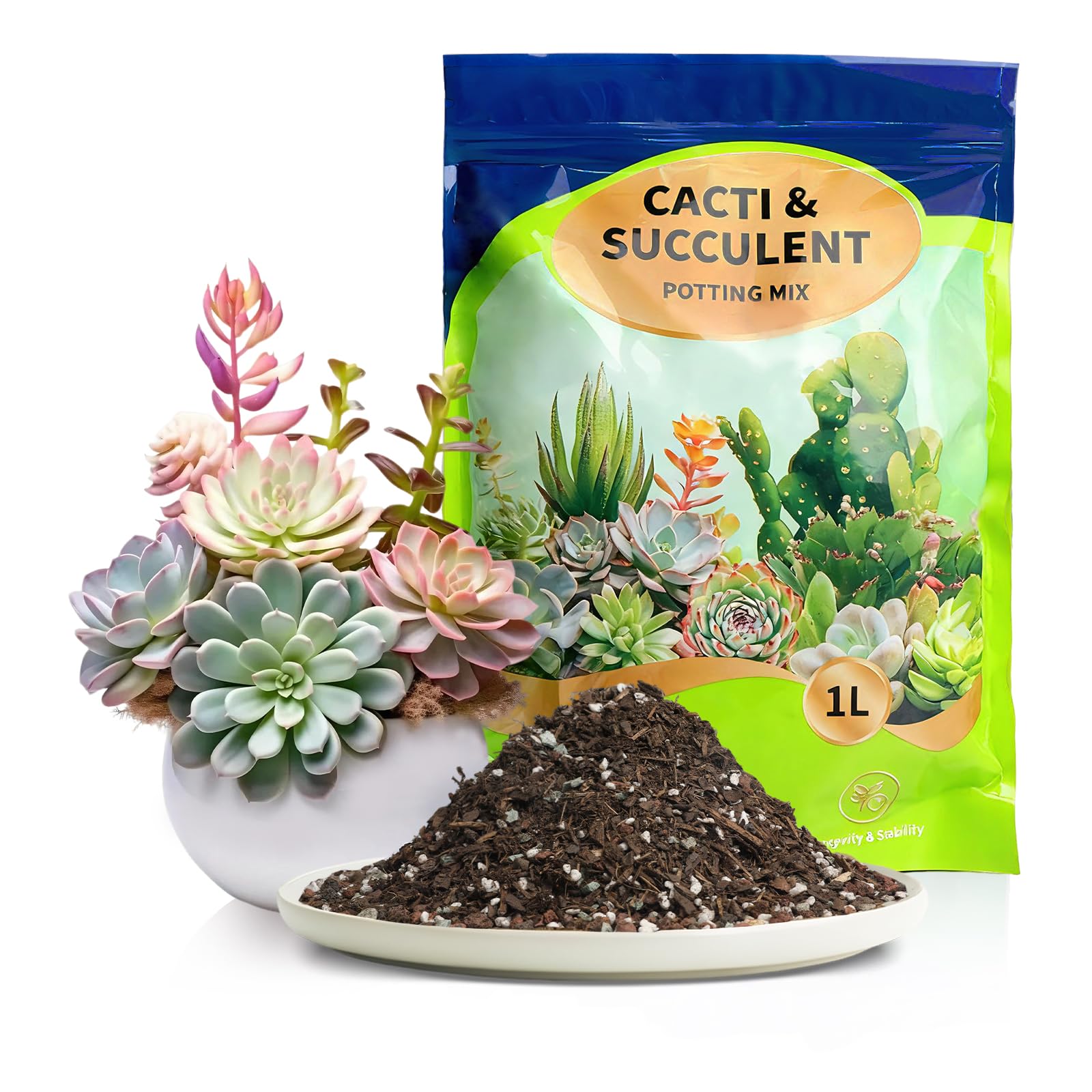 GOTVUGE Succulent and Cactus Soil Potting Mix, Fast-Draining Formula with Perlite & Vermiculite, Nutrient-Rich Blend for Healthy Root Growth, Ideal for Indoor & Outdoor Succulents, Cacti & Bonsai – 1L
