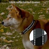 Ver la foto 4
