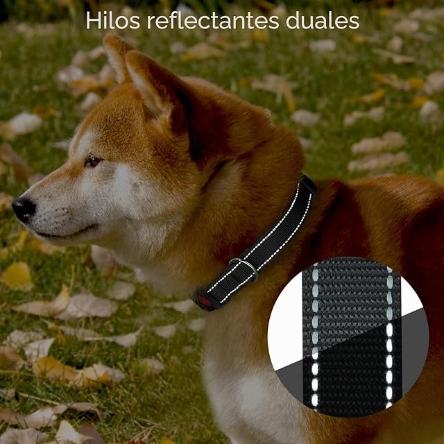 Foto 4 de 8 de Nobleza - 2× Collar Perro, Collar Nylon Reflectante Suave Acolchado para Perros, Ajustable Collar Perro…
