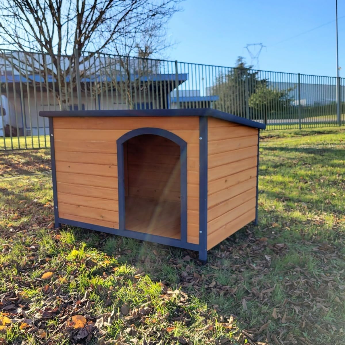 Animal Valley Natura - Casita de perro con techo plano - Madera y alquitrán - 116 x 82 x 79 cm - Talla XL - Beige y Verde - para perros de tamaño mediano