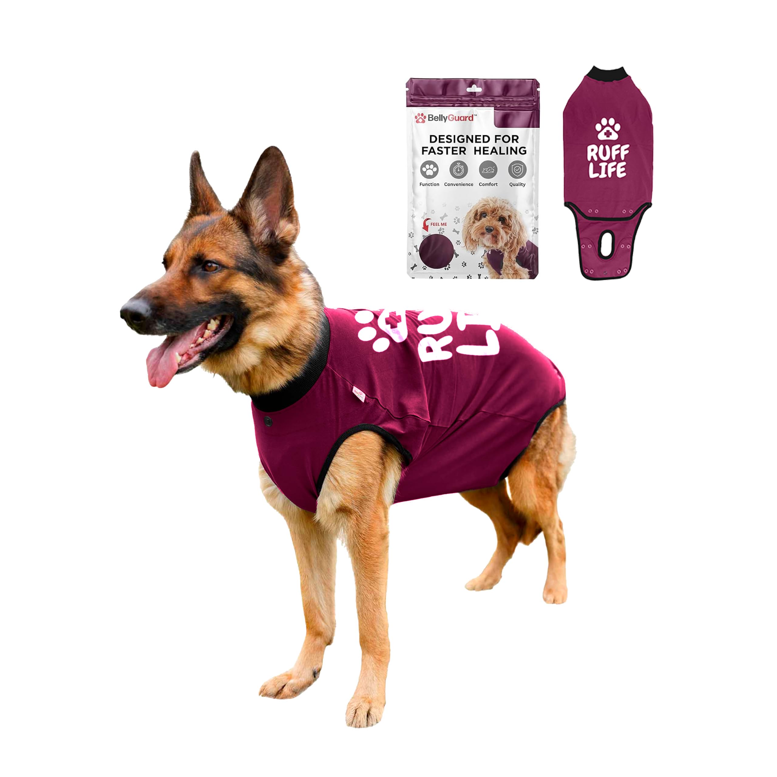 BellyGuard Dog Surgery Recovery Suit, Male Female After Spay Neuter Onesie