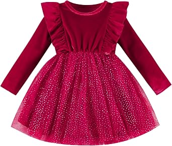 DREAM BUS Toddler Girl Christmas Dress Baby Girl Long Sleeve Ruffled Velvet Top Tulle Dress Special Occasion Dress