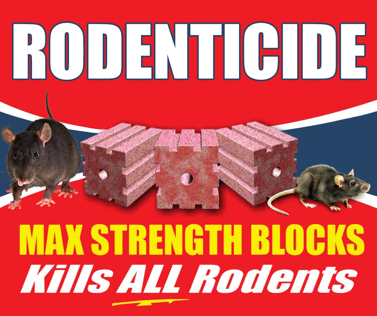 RODEX RAT AND MOUSE POISION BLOCKS 25% BIGGER THAN MOST FRESH PASTA GROUND WHEAT AND OIL VERY PALATABLE (60) colours can vary