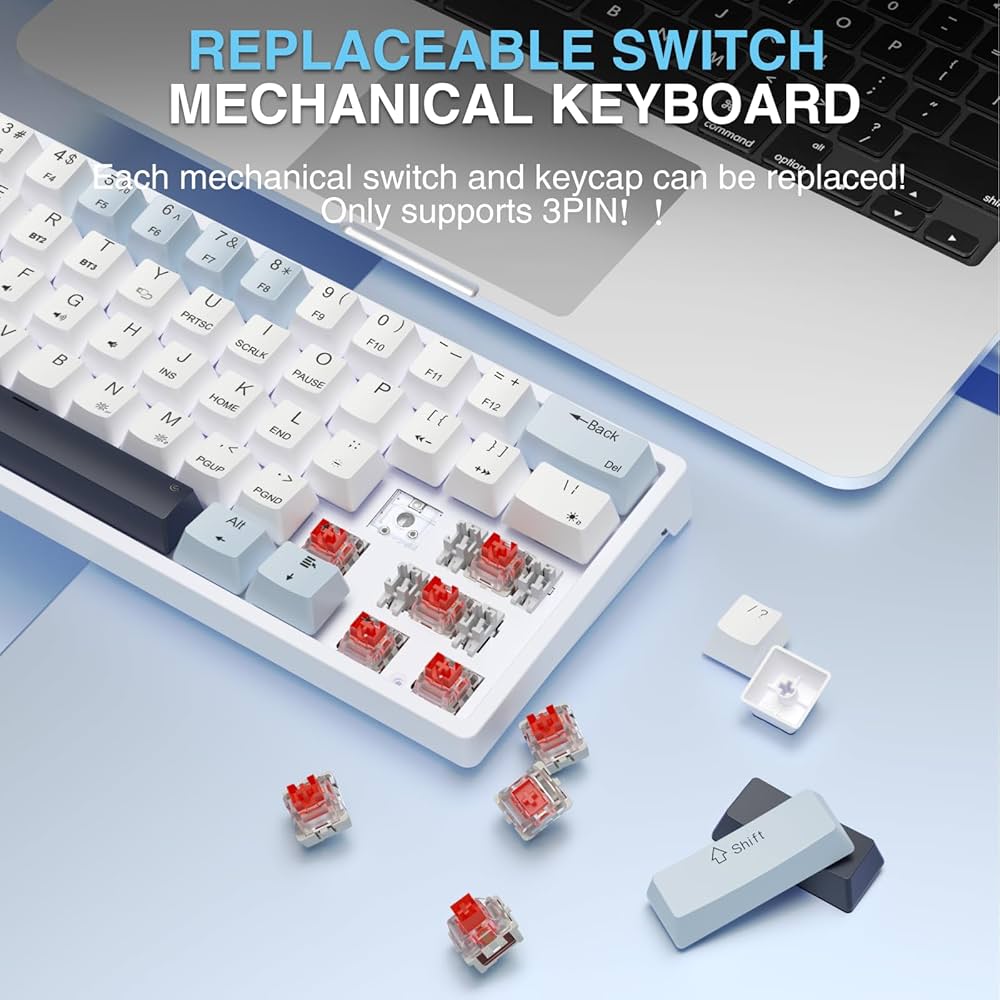 Amazon.com: SOLAKAKA SK961 Wireless Mechanical Keyboard with
