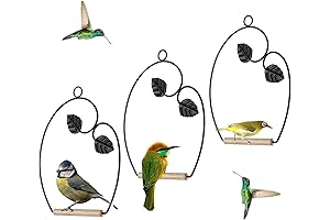 Winemana Hummingbird Swing, Rust-Resistant Haven for Bird Enthusiasts