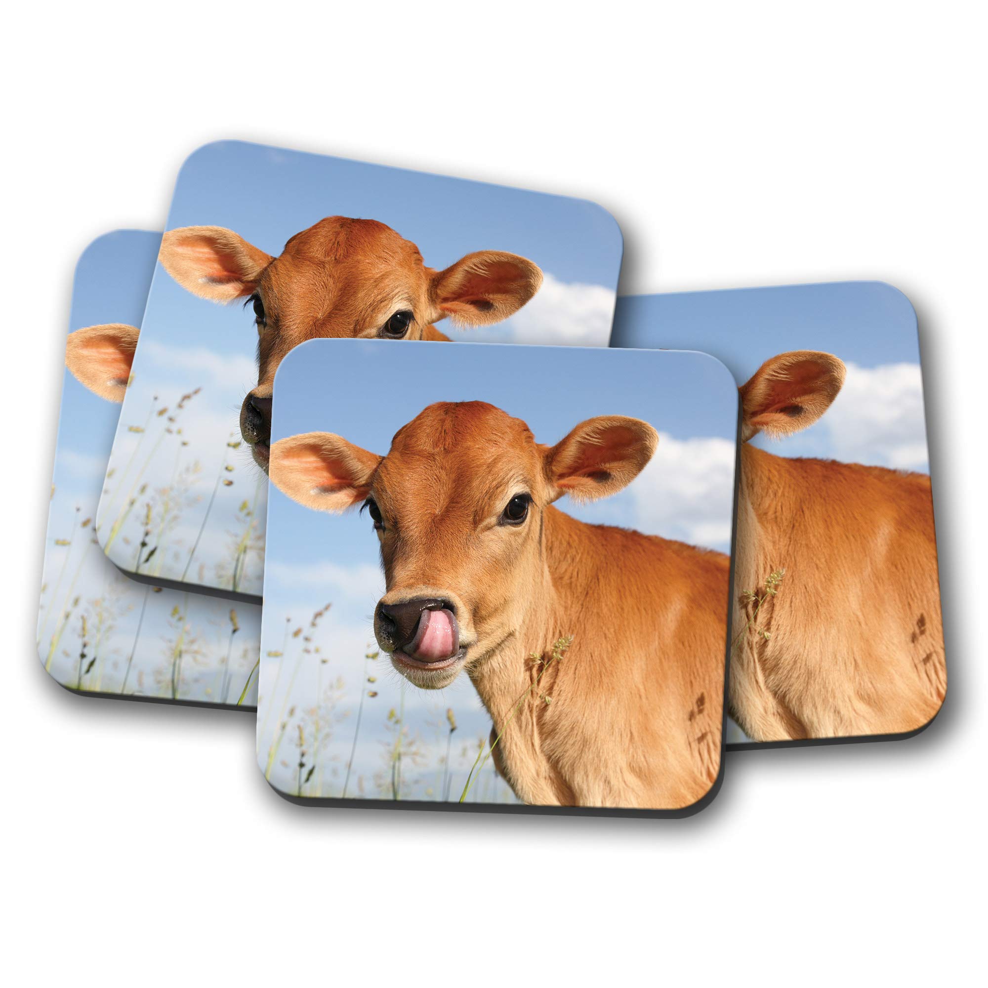 Destination Vinyl Ltd Multicolor 4 Set - Pretty Jersey Calf Coaster - Cow Cattle Farm Animals #15585