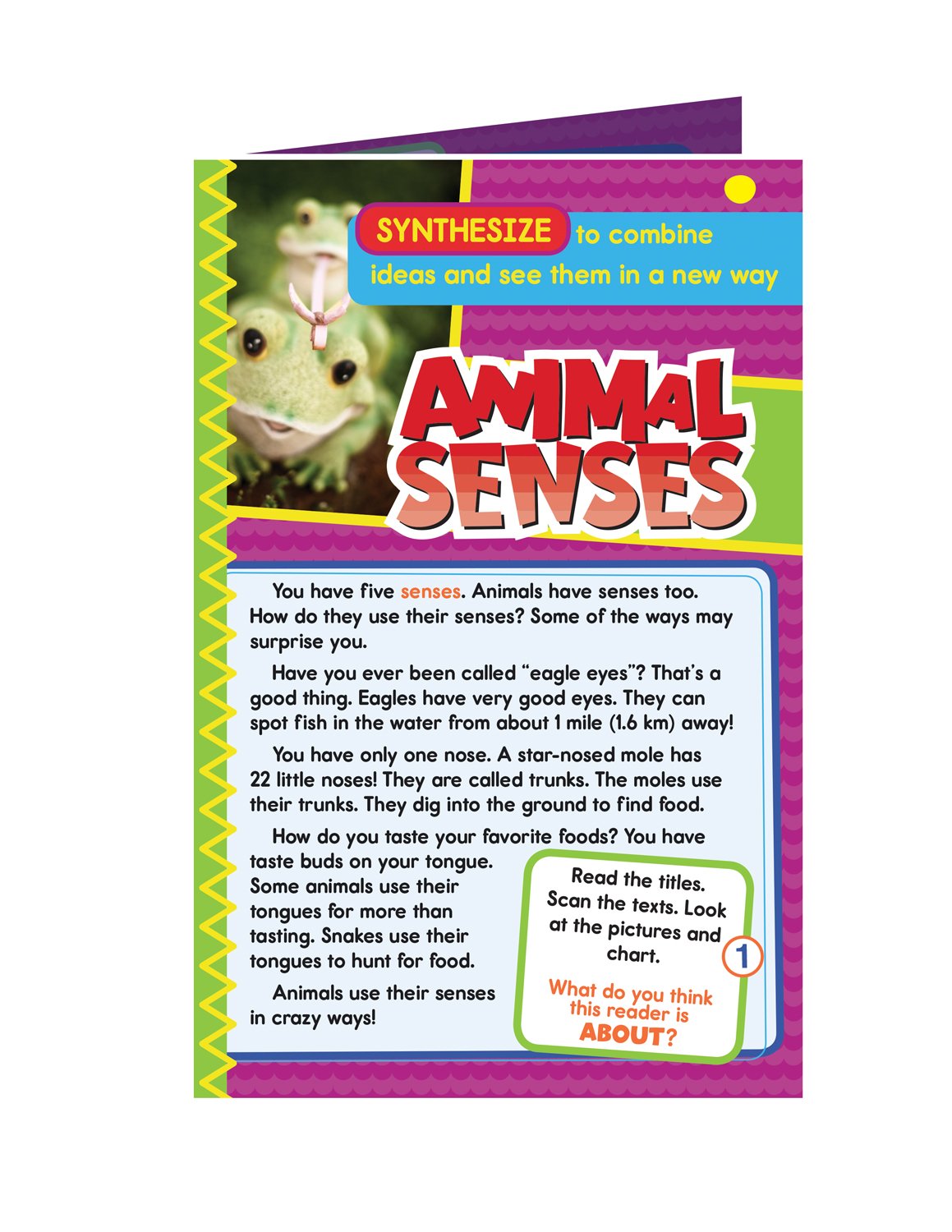 Guided Reading Synthesize Grades 1-2: Synthesize Resource Book