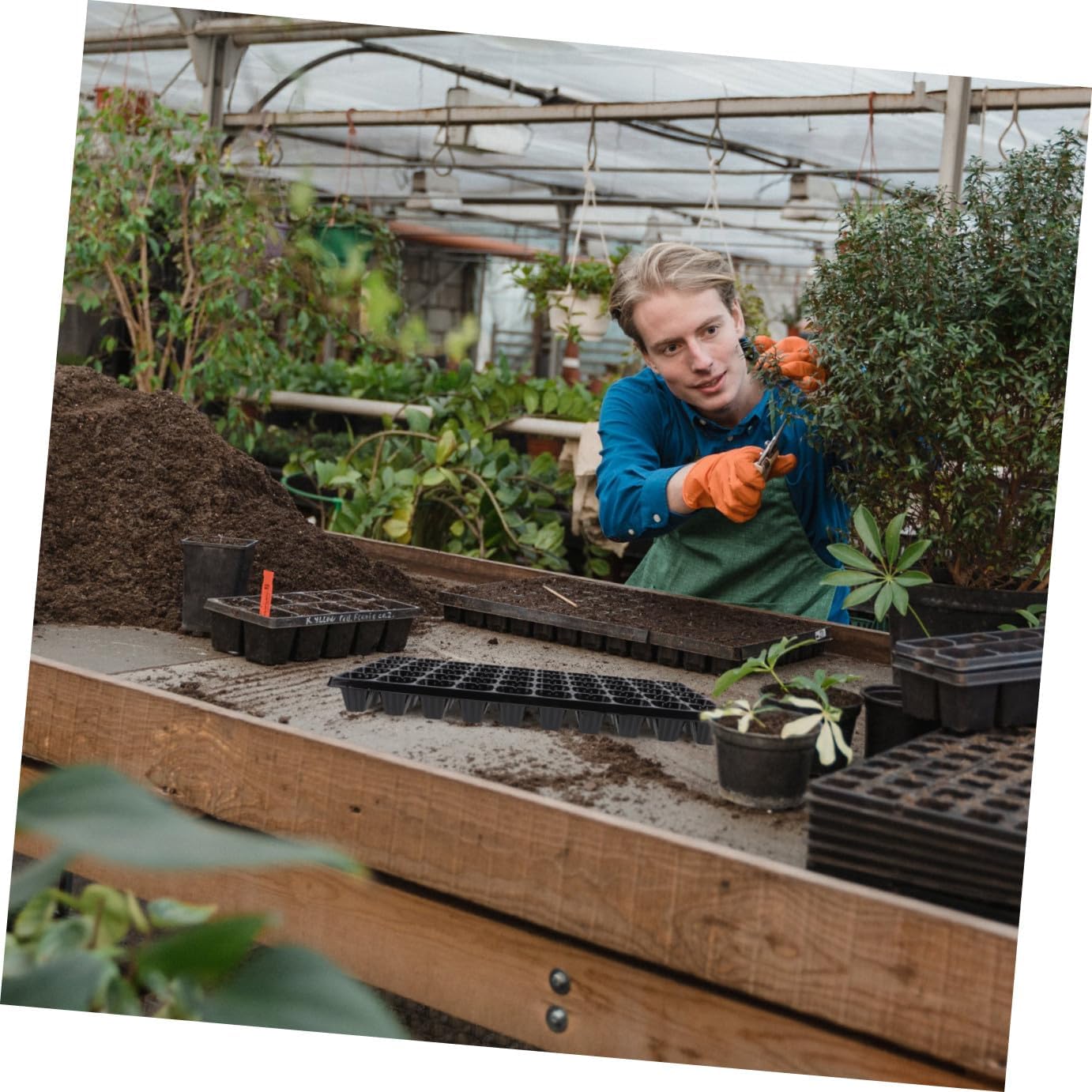 10pcs Nursery Trays Plant Germination Plates 50-Cell Thickened Plastic Seedling Starter Trays for Vegetable Gardening Greenhouse Planting Supplies