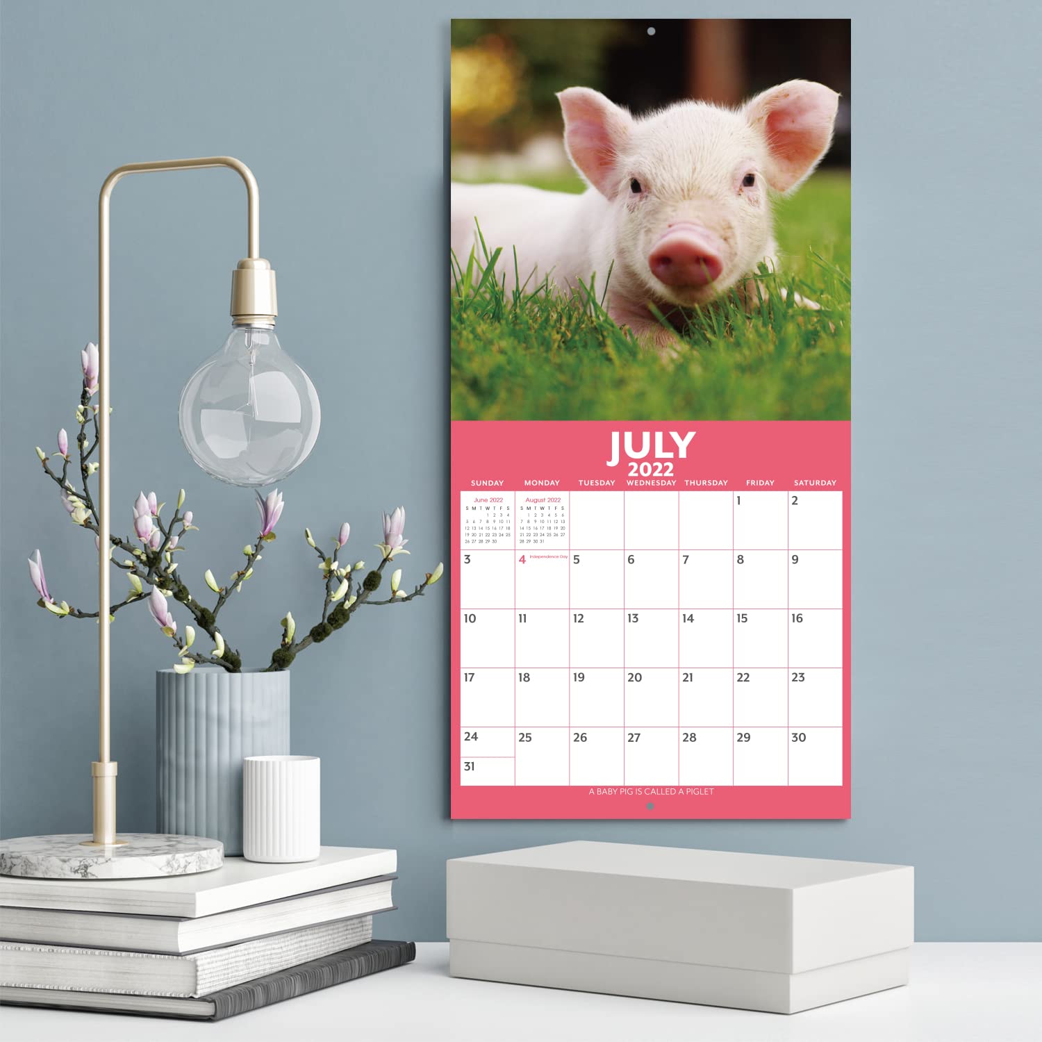 Buy 20222023 Calendar Baby Animals Wall Calendar 20222023 from Jul 2022 Dec 2023, 12 x 12