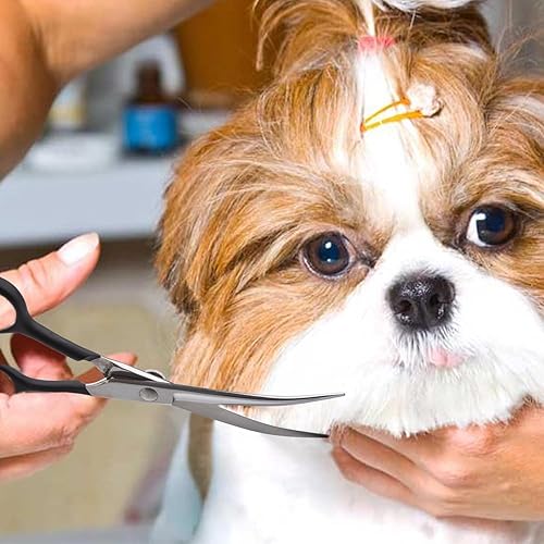 Miniatura 6 de Dream Reach Tijeras de aseo para perros curvadas hacia abajo de 6 pulgadas para recortar la cara y las patas, tijeras de corte de seguridad para