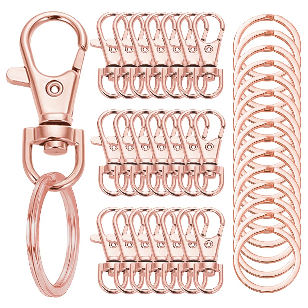 Photo 1 of 100 Pcs Keychain Hooks with Key Rings, Keychain Clip Hooks with Rings for Lanyard Jewelry Making DIY Crafts(50 Pcs Metal Lobster Claw Clasps + 50 Pcs Flat Key Rings) (Rose Gold)