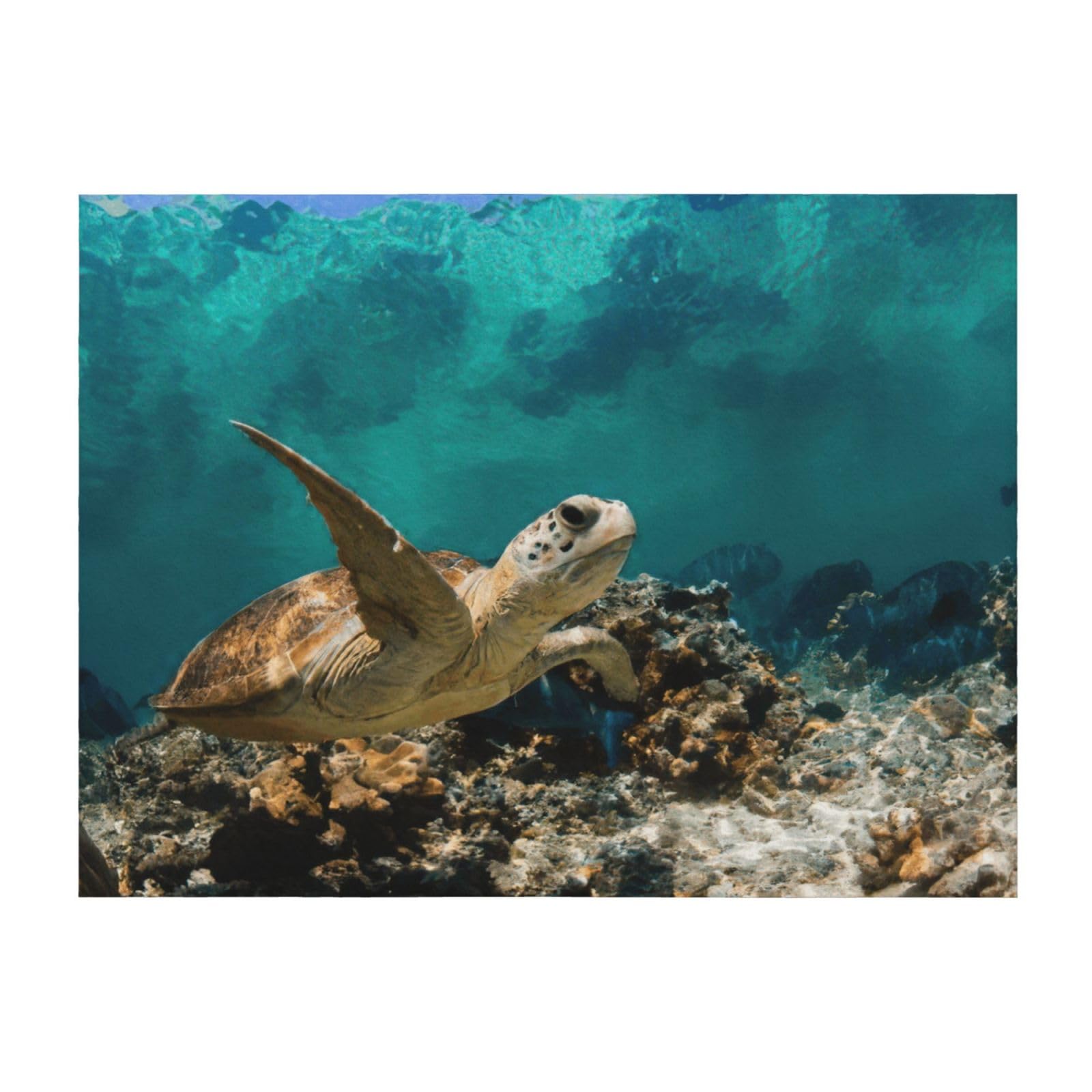 Couverture légère imprimée Tortue de mer en textile premium pour lit et fauteuil