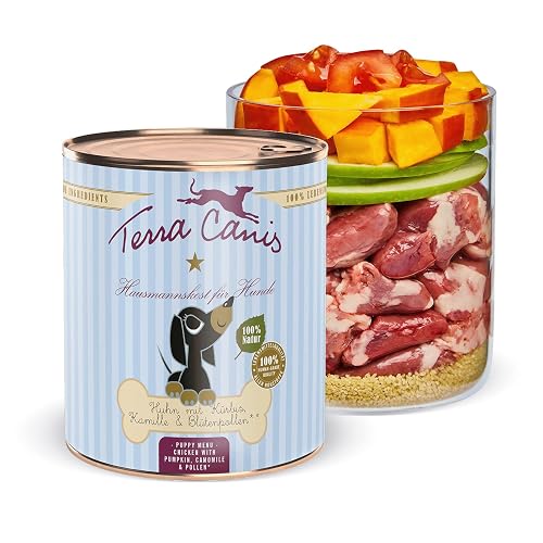 Terra Canis Pollo con Calabaza, Comida húmeda para Cachorros, 800g