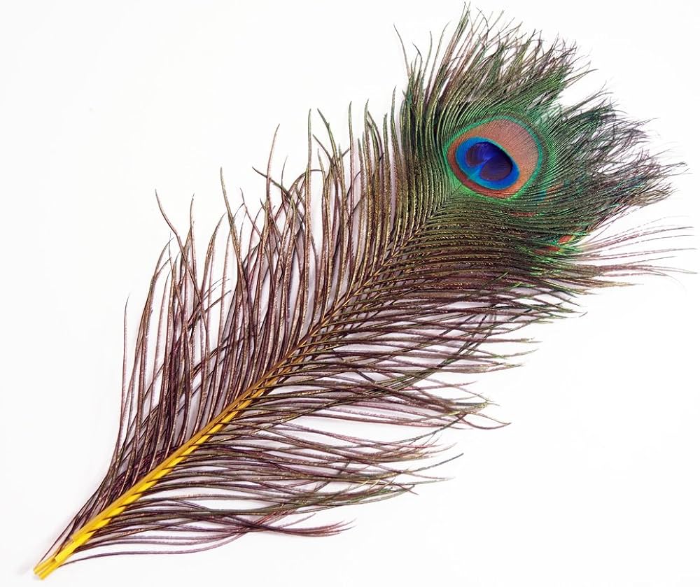 Amazon.co.jp: ピーコック・アイ 4本 [019-Eye-04] イエロー/孔雀