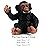FUNSHOWCASE African Jungle Animals Young Chimp Chimpanzee Baby Toy Figure Realistic Plastic Figurine Height 1.4-inch