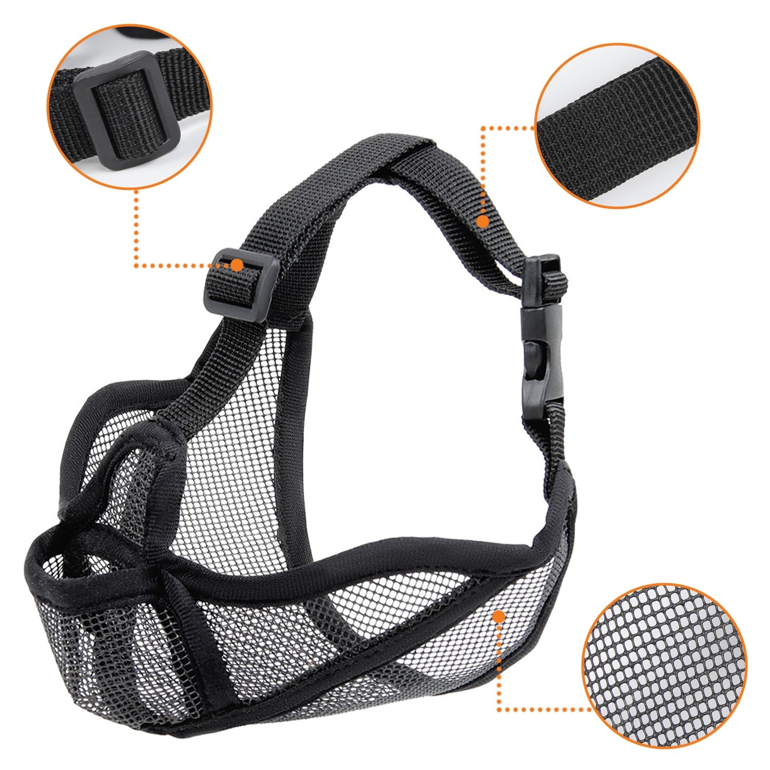 View 5