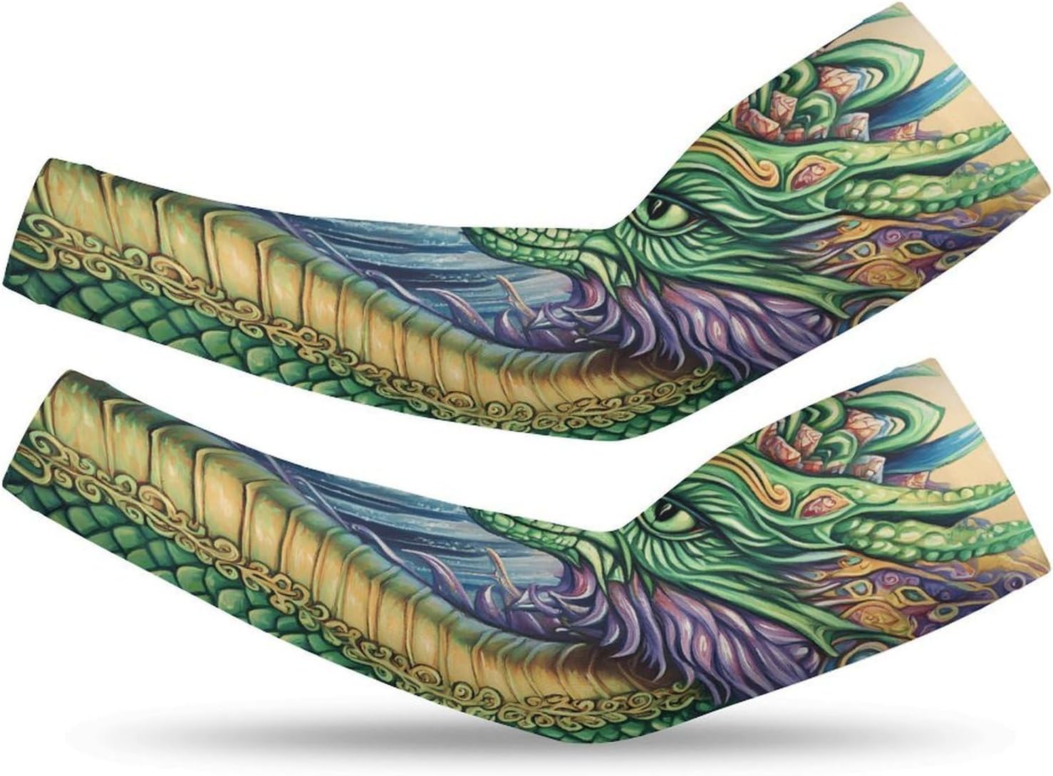 Waterfall Streams Dragon Arm Sleeves Cooling Sun Protection Sports Compression for Golf Basketball